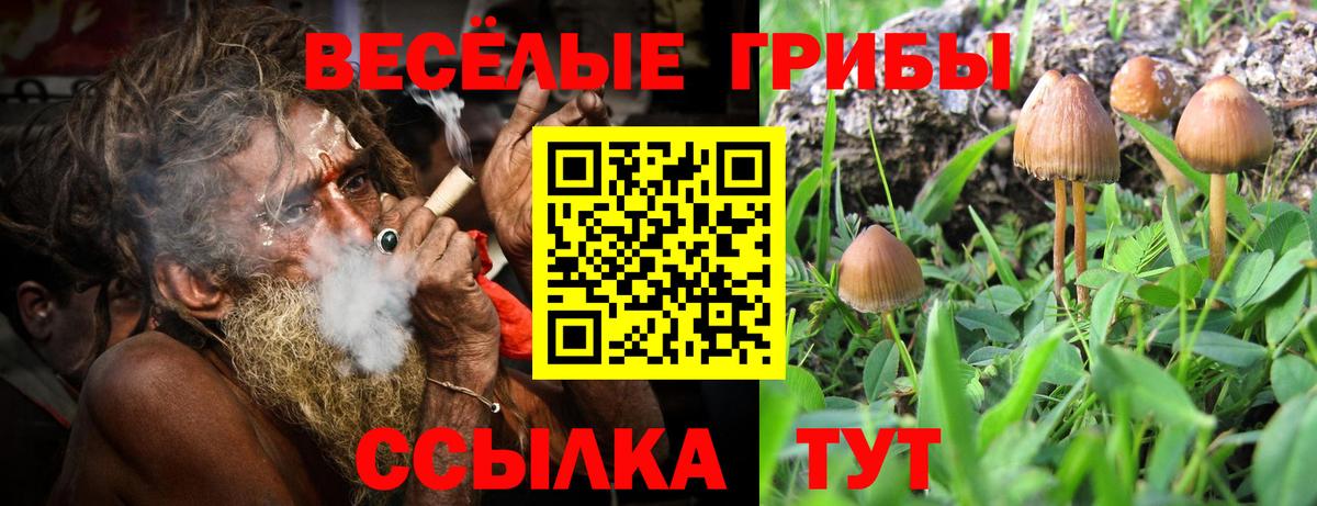 Валуйки  Галлюциногенные грибы прущие грибы  Псилоцибиновые грибы Cubensis  Вход с VPN 